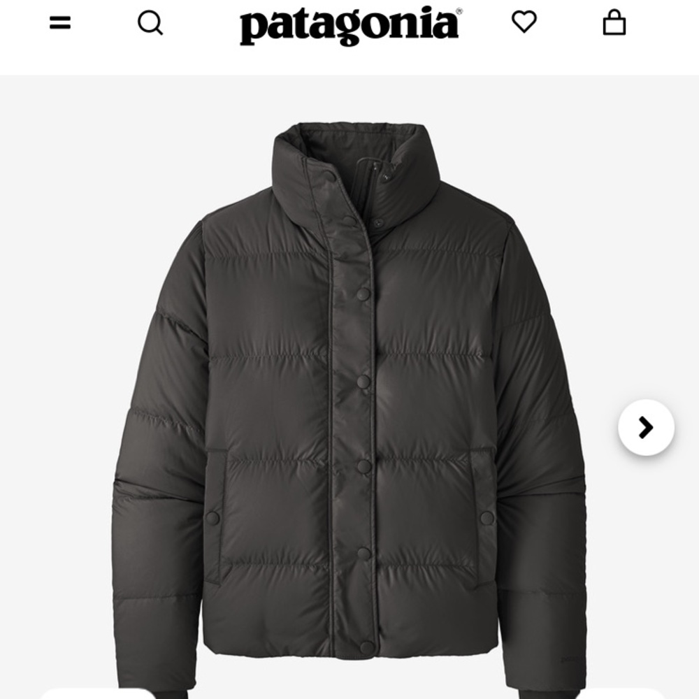 Patagonia Women's Silent Down Jacket
